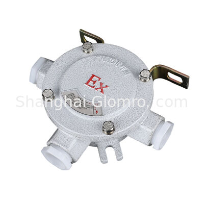 IP65 Enclosure Waterproof Electrical Explosion Proof Aluminium Steel Round IIB/Ceiling Pendant Junction Box