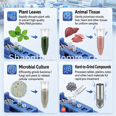 High Throughput Tissue Grinder Lab Sample Homogenizer for DNA RNA Extraction Animal Plant Soil Sample Preparation