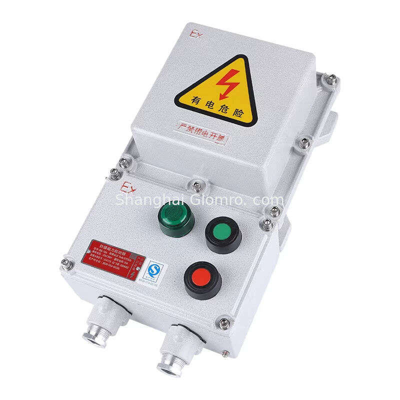 AC 220V/380V Explosion-proof Magnetic Starter Exde IIC T4/T6 Gb Waterproof and Dustproof 