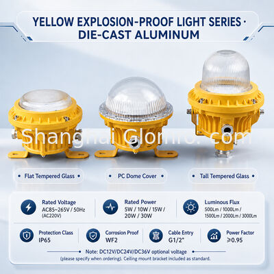 GLOMRO βαρύ φορτίο εκρηκτικό φως LED 30W SMD 3000Lm AC85V-265V για πετροχημικές εγκαταστάσεις