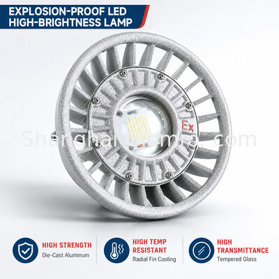 Φωτιστικό LED Αντιεκρηκτικό 20W/30W/40W/50W/60W/70W/80W/100W/120W IP66 Χυτό Αλουμίνιο Φωτισμός Επικίνδυνων Χώρων Πολλαπλές Επιλογές Ισχύος